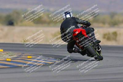 media/Dec-09-2023-SoCal Trackdays (Sat) [[76a8ac2686]]/Turn 14 Backside (1050am)/